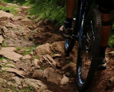 Atividades_visit_calheta1