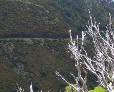 Atividades_visit_calheta1
