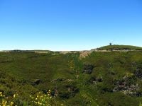 Levada_Alecrim