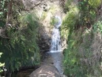Levada_Paul_II