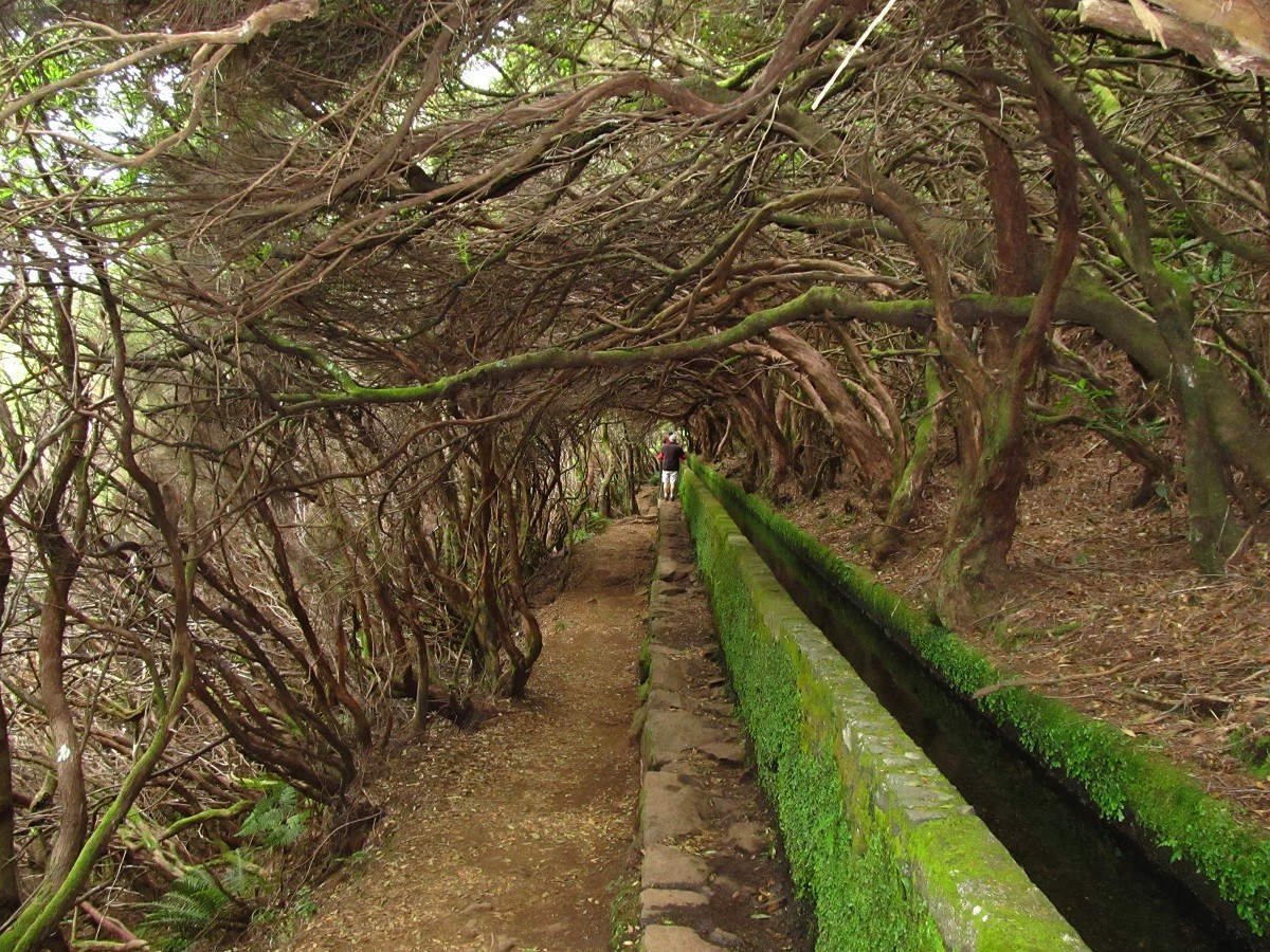 Atividades_visit_calheta4