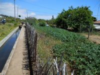 Levada_Nova_Da_Calheta