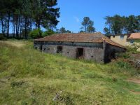 Levada_Nova_Da_Calheta