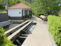 Levada_Nova_do_Arco_da_Calheta