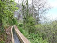 Levada_Nova_do_Arco_da_Calheta